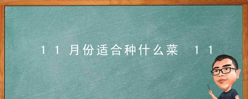 11月份适合种什么菜 11月份适合种哪些菜呢